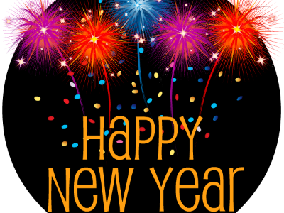 New Year's Eve Sparkle Party  December 31---Additional Guest